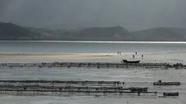 2019.东庠岛&阿嬷家的海34