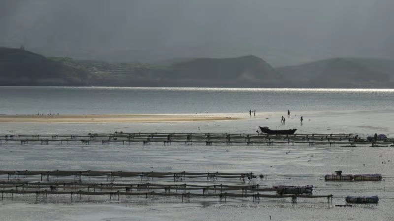 2019.东庠岛&阿嬷家的海34