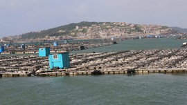 2019.东庠岛&阿嬷家的海17