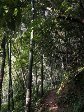 2019.09.07天使之泪21