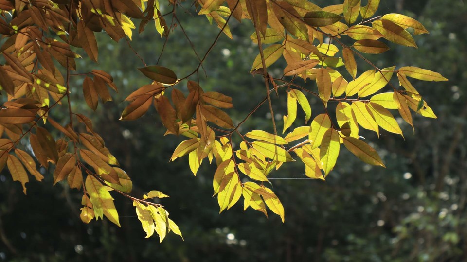 2019.09.07天使之泪18