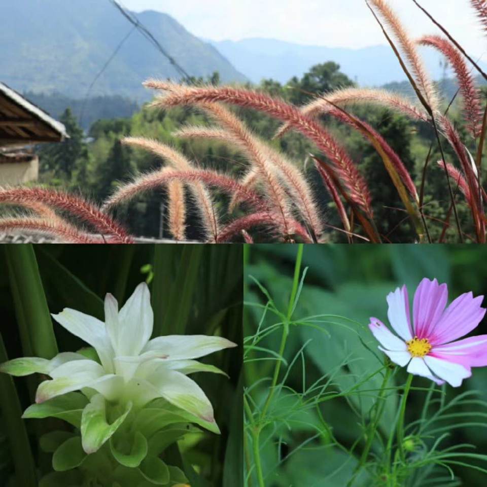 2019.09.08永泰庄寨20