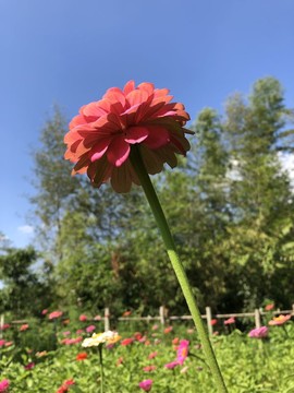 2019.09.08永泰庄寨7