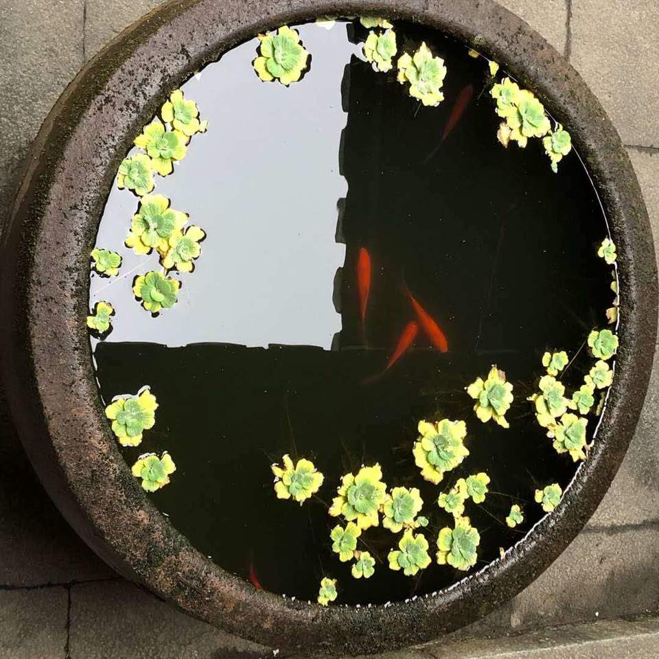 2019.10.13永泰庄寨12