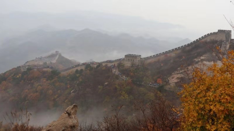 mmexport1572694858042