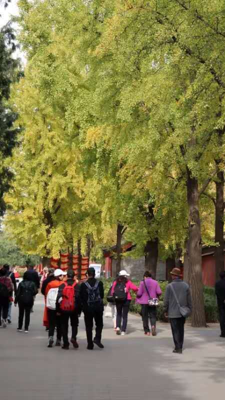 JobtLmCZuNCKn760KgAlejCy1yFJfVVVj40u5zMplP1AoUUynUDvs0o18mPlBnxi