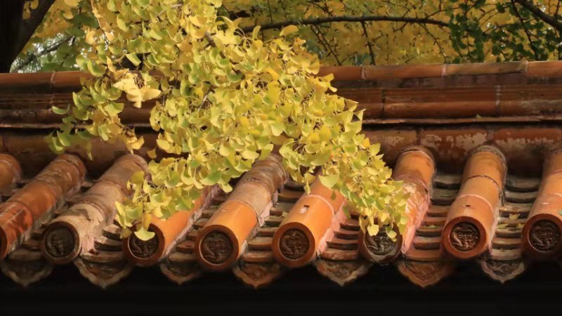 5fPEsSSsU33t91TMRjsqJ4uVmyPnIH8sYpUWHy7y_2oUzGPjh6bKzM2A7nB0JWtJ