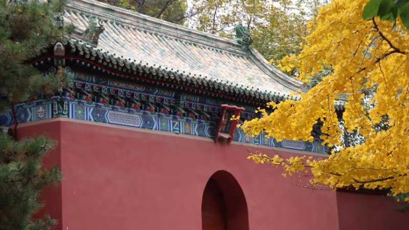 IXLcEJykuKgktGZU951QDiQWn3bzctFpUwU9MI3kcGN-r67Eg2MrnNk3H48YNIQr