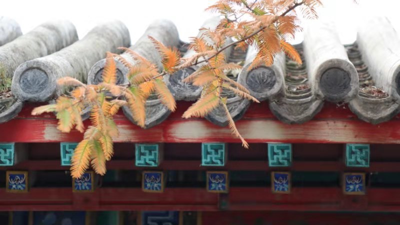 p8OQ5Qfr0BVQc7WE9AxLkXZcbEPygXr1B94h25tmW2P5dKKx9jGLhT0hQo76ftz_