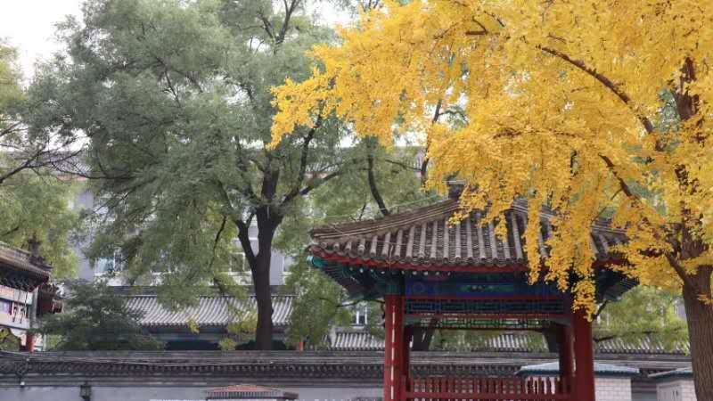 sQfrKQxsJQWQusf14bWuNv2szK3k8mucOKy2yrgUwTaVvgTclSnoeIII7K5psReI