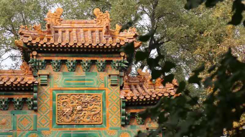 d8U1Cf6rar5emmdOs42e3KkYx1ZcZiEtA1l1owqhzUpBr7lCHjov996Um9sTWbgW