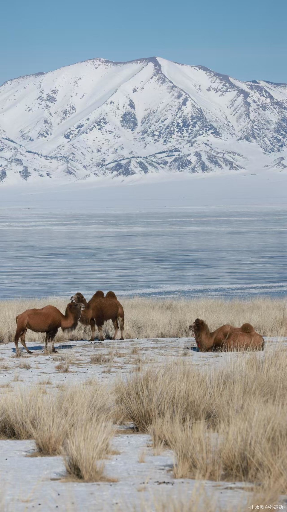 BpvKFmPg2YmMFIhhlhEKLeedww5x9MRmBMGZTTlZrR2dnfBlgWqwwz0bIy_7eNz9