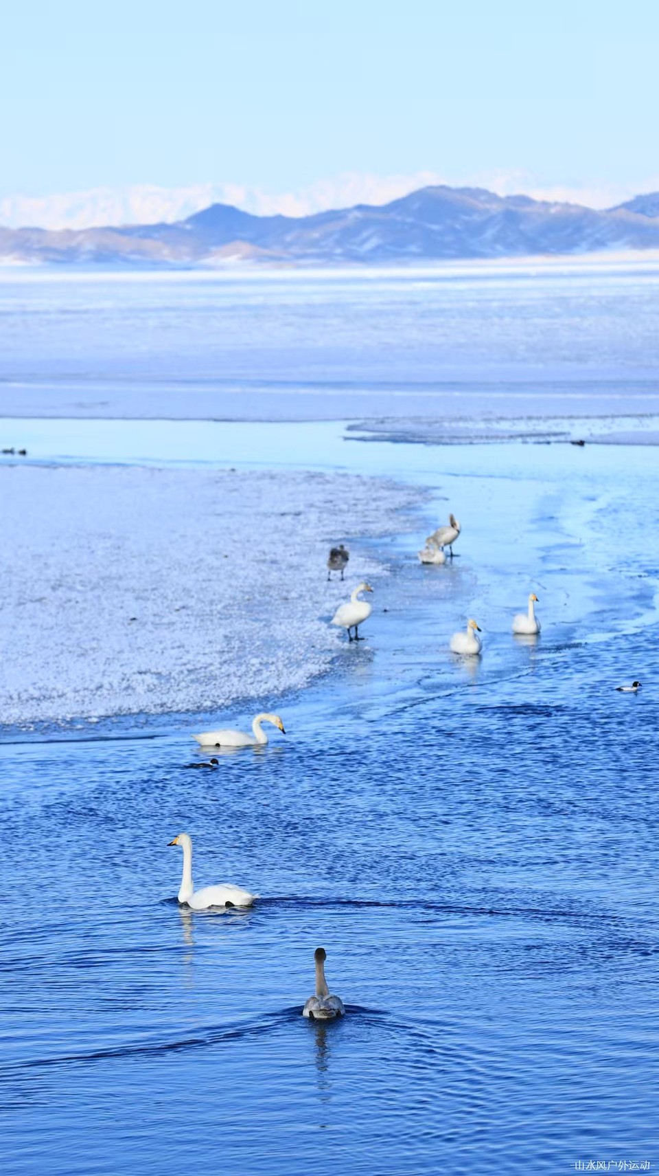 BpvKFmPg2YmMFIhhlhEKLSpTBw4eTecGBes9J1rn37njC5IkemfoQxjkg3uWHJOz