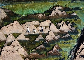 [已完成]澳门逛吃+香港麦径精华段+打卡“千里江山图”