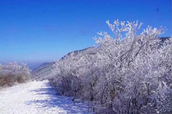 又一波降温要来了，我们去这里看“雪”！【出发丨古道季⑤】