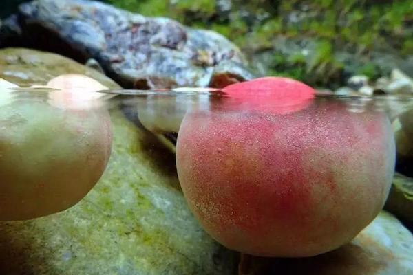 35℃+！杭州热热热热热……就想去这里玩！水！丨出发·玩水季