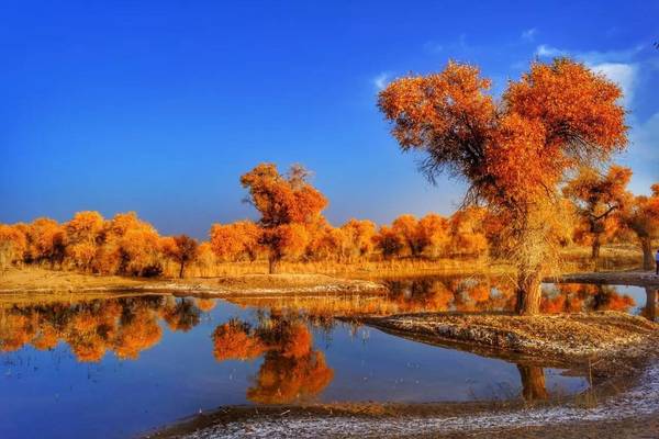 魅力南疆：南疆大环线摄影风情13天采风深度游