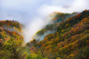 小团：《神峡秋韵》6天5晚 