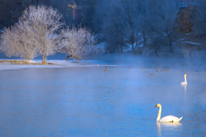 小团：《雪域伊犁》7天6晚