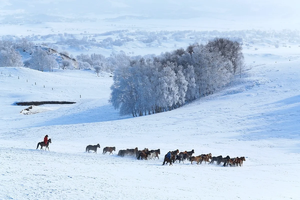 《遇见乌兰布统·冰雪狂欢》3天2晚 