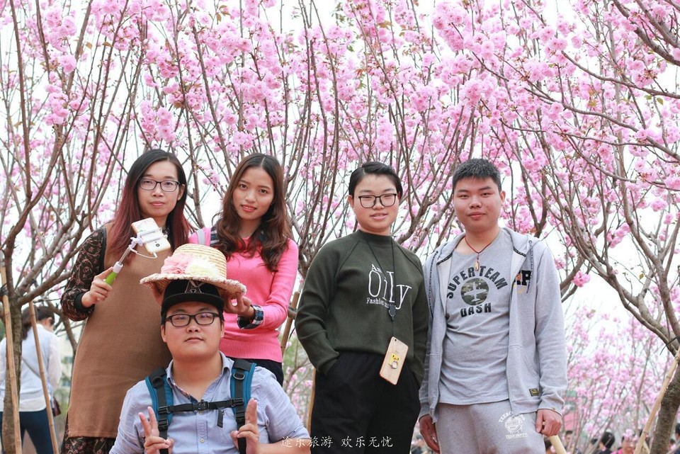 QQ截图20170307120110