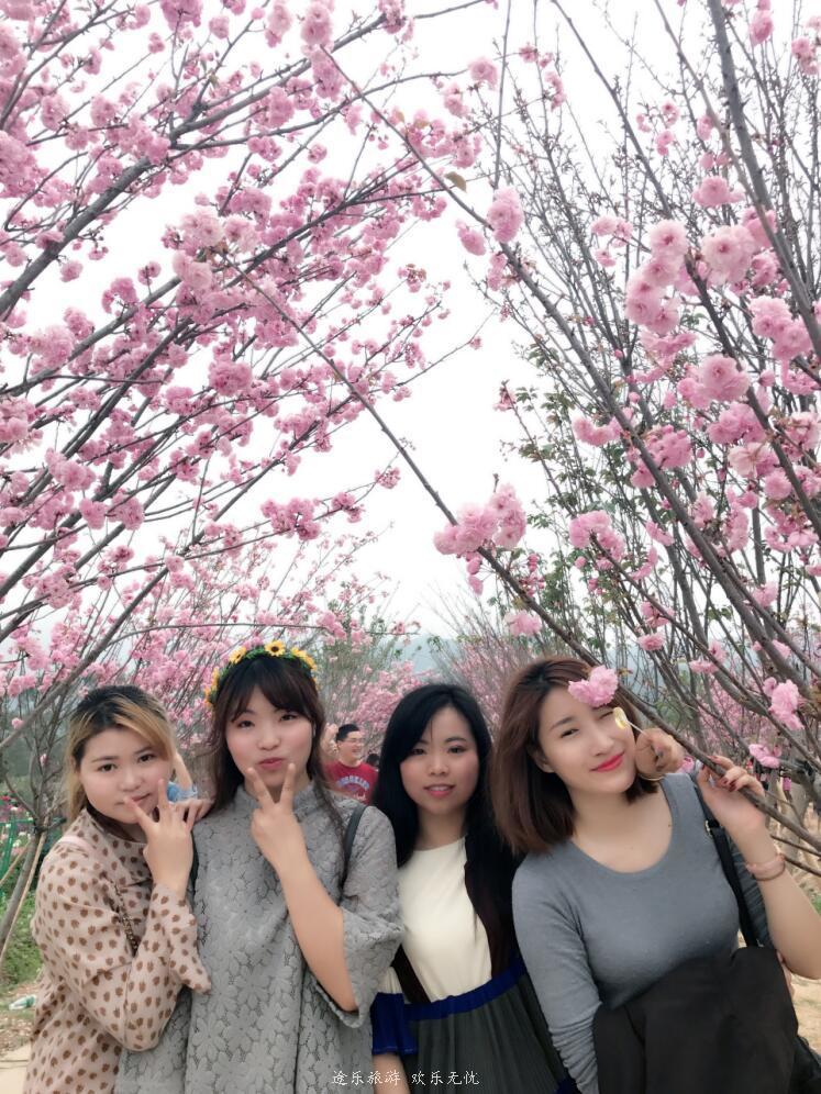 QQ截图20170307120135