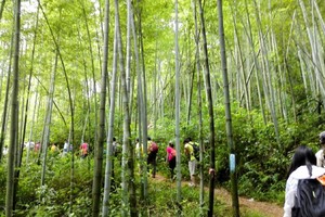 广州从化《溪头村》旅拍记实