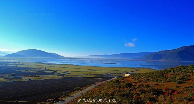 依拉草原4_副本.jpg