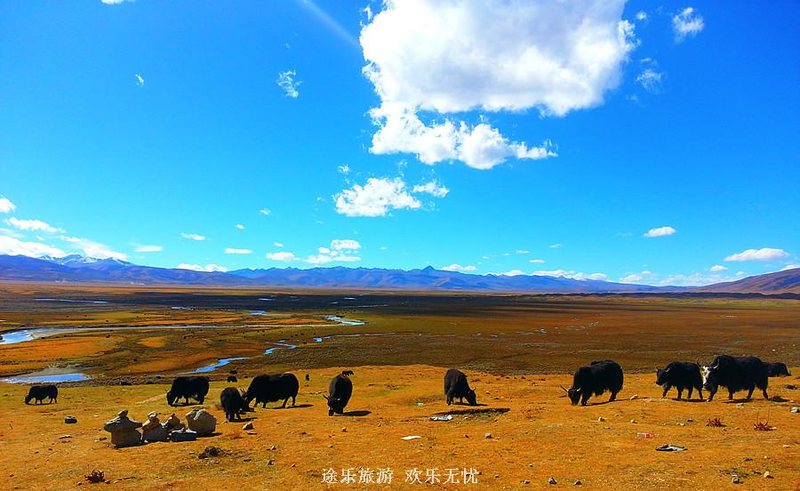 世界高城理塘.jpg