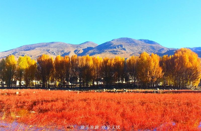 稻城红草堆.jpg