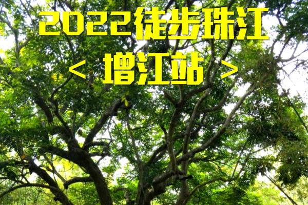 7月16日(周六)【徒步珠江】增江站-18公里