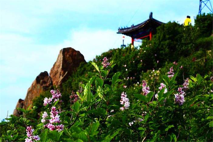 百花山国家级自然保护区建于1985年,位于北京房山区和门头沟区交界的