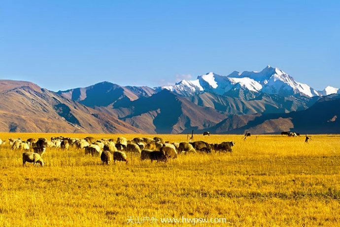 001xO1Nigy6HDd0yn2o80&690