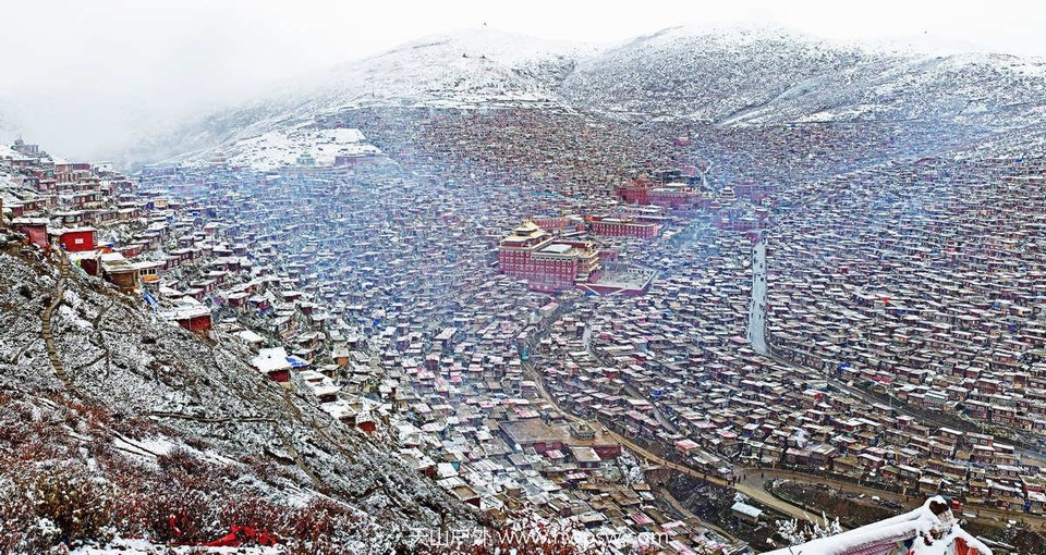 14780293_14780293_1351562924536