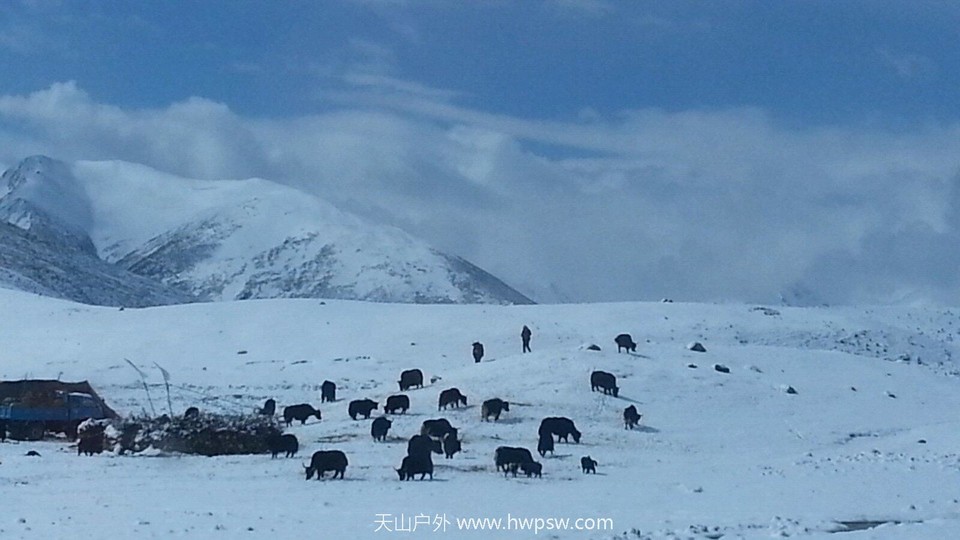 CggYtFbF0nyAO-ZGAAIFQfspJzE151