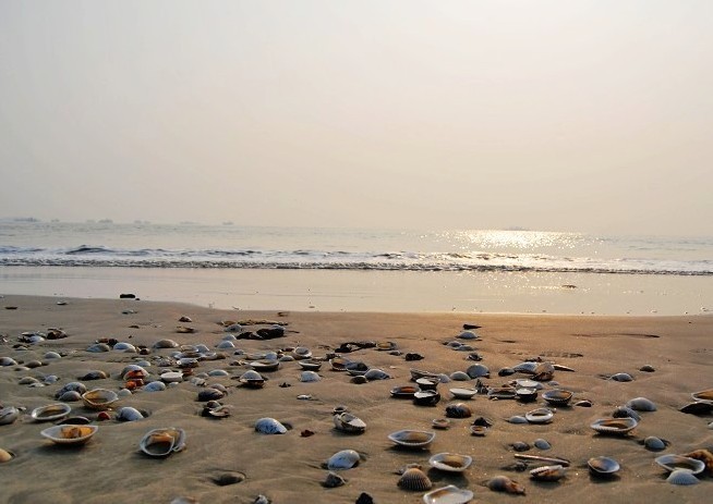 231430uclbmbk6qs557m1m