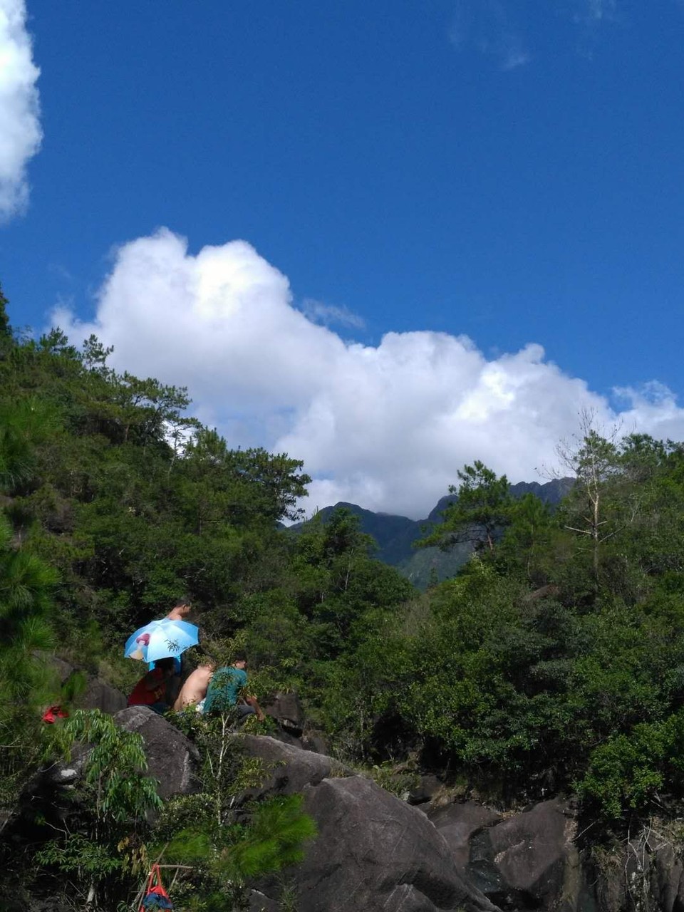 mmexport1529835631529