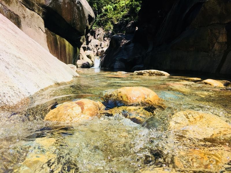 mmexport1529835640484