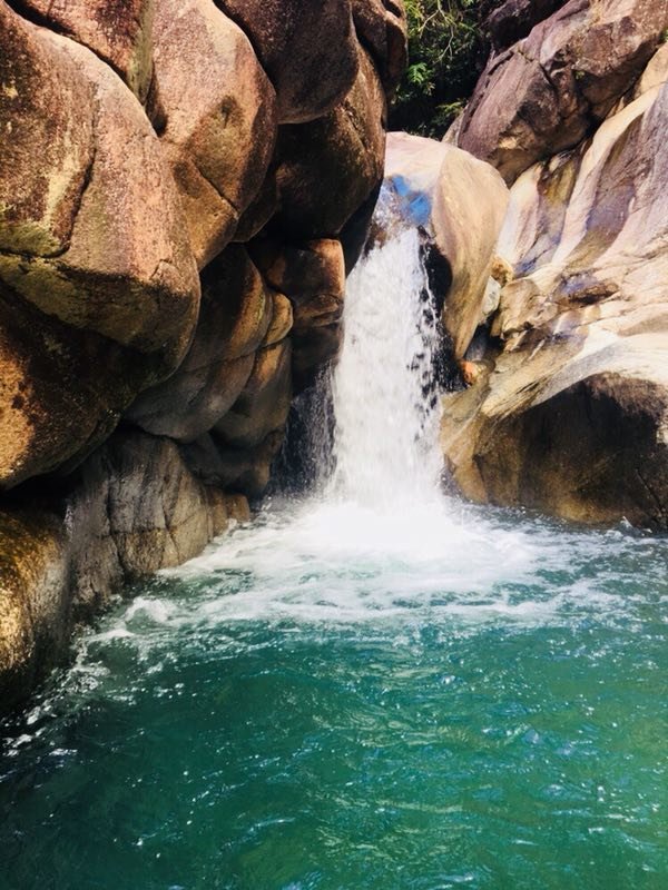 mmexport1529835659596