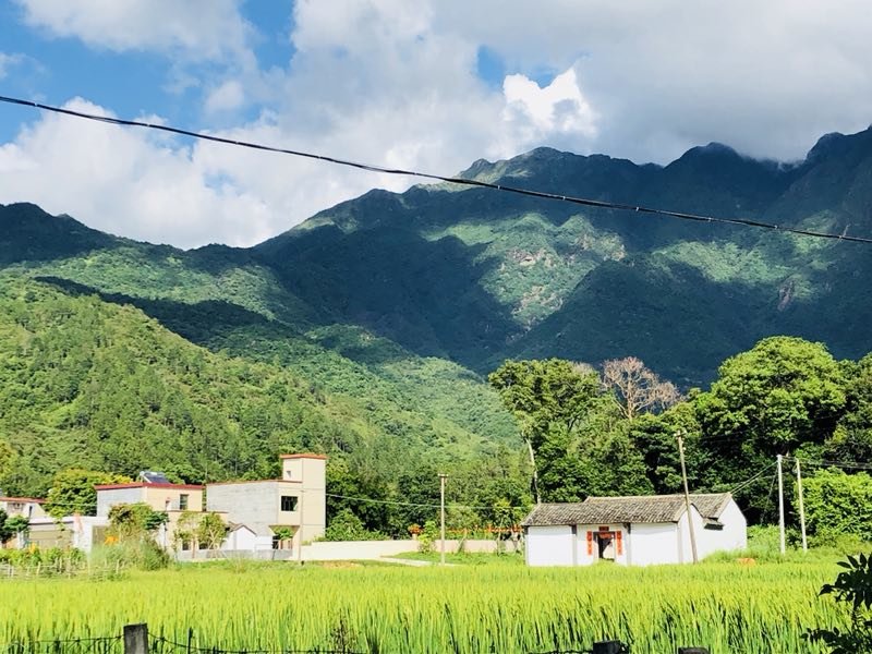 mmexport1529835665628