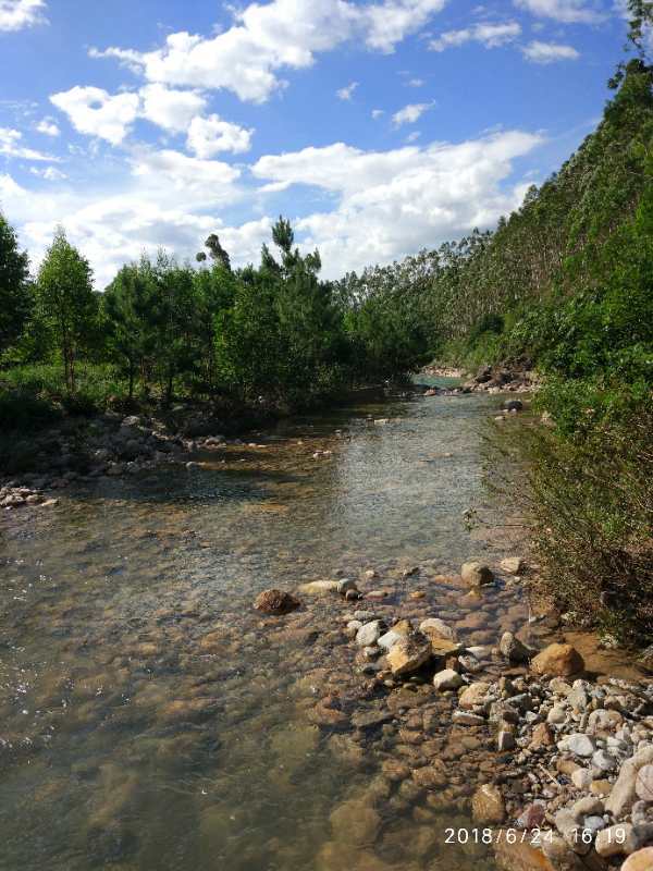 mmexport1529845421718