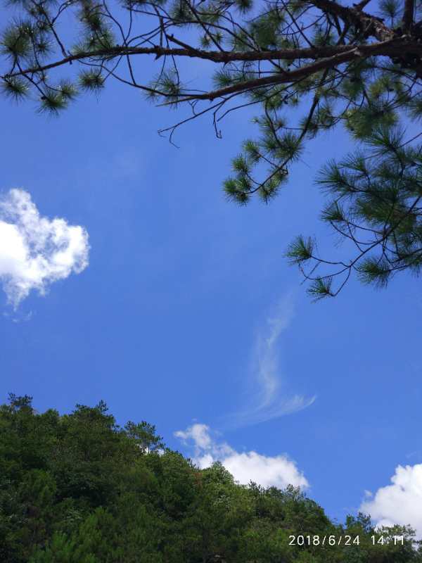 mmexport1529845483854