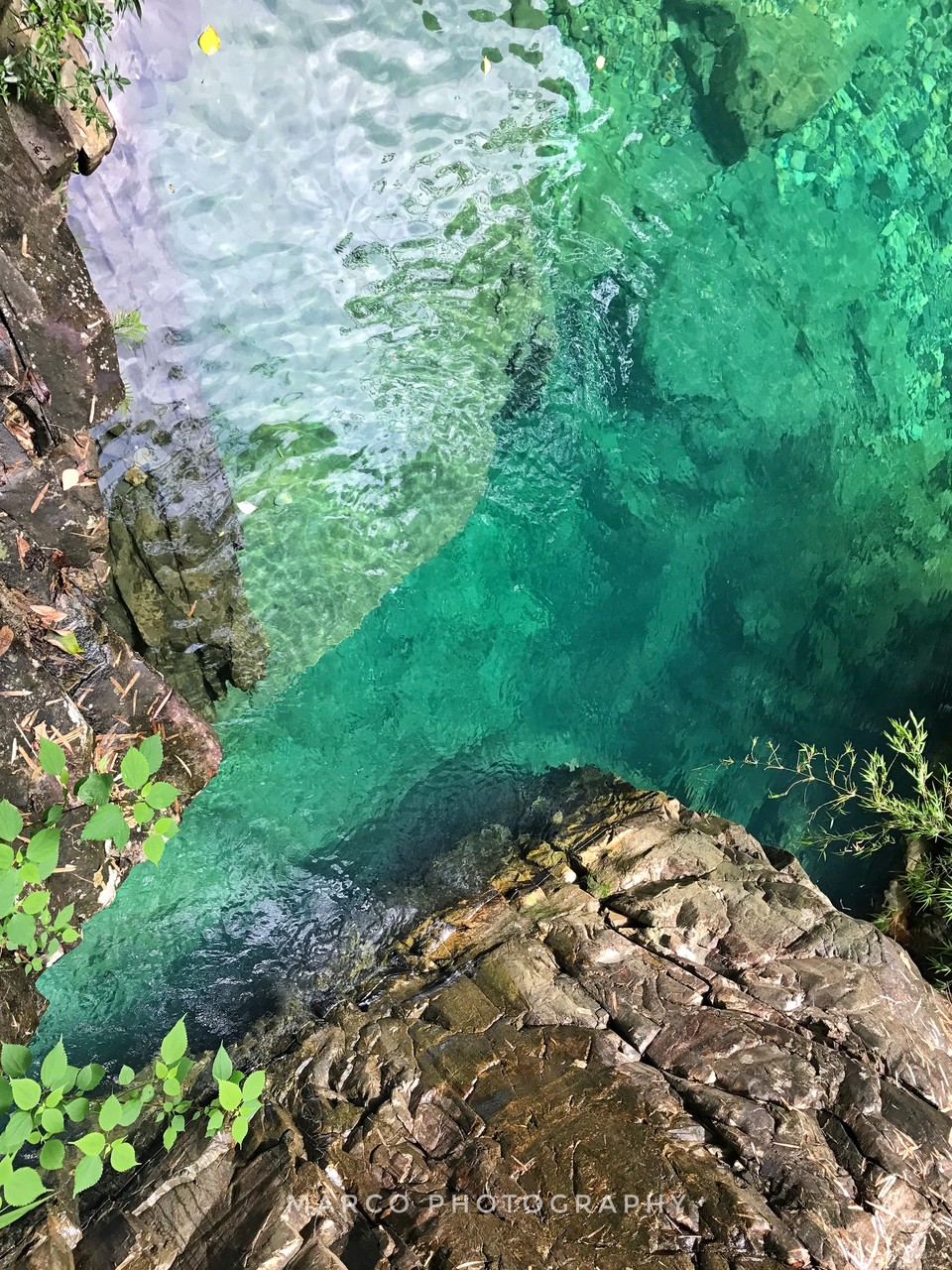 微信图片_20170723223534