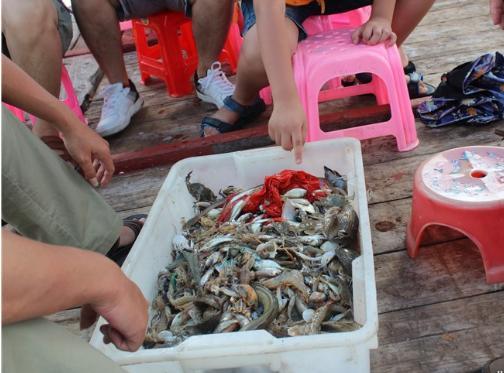 llj811279042_1503633417750_156