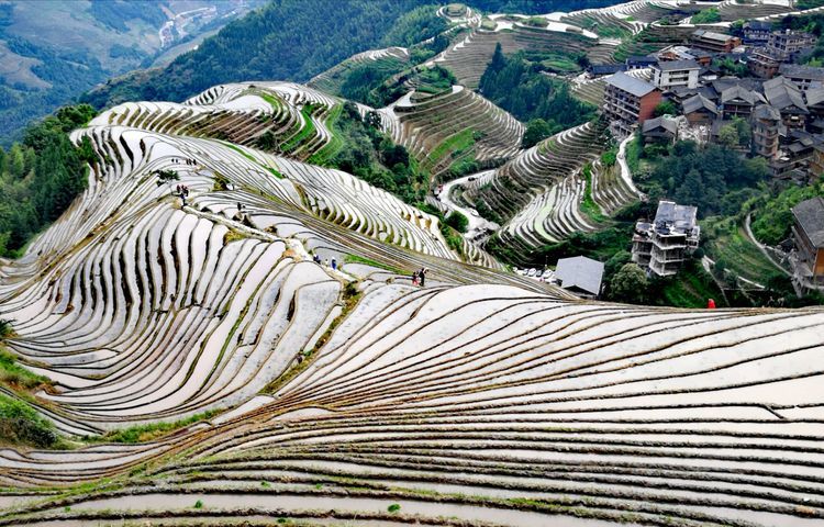 微信图片_20210412120554