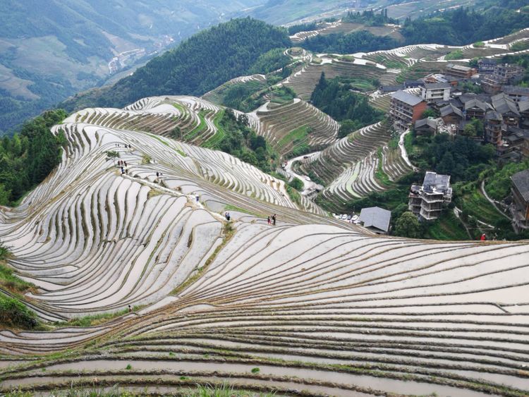 微信图片_20210412120742