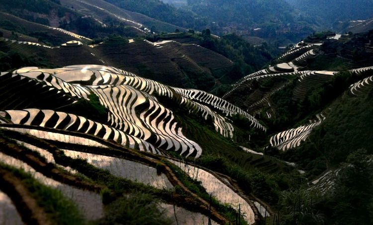 微信图片_20210412120821