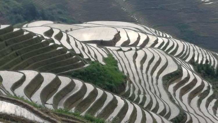 微信图片_20210412120859