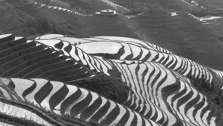 微信图片_20210412120912