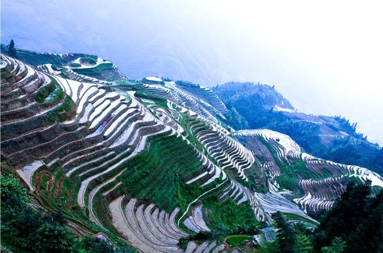 微信图片_20210412162738